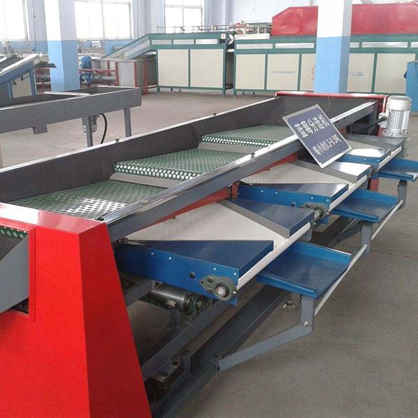Blueberry Sorting Machine