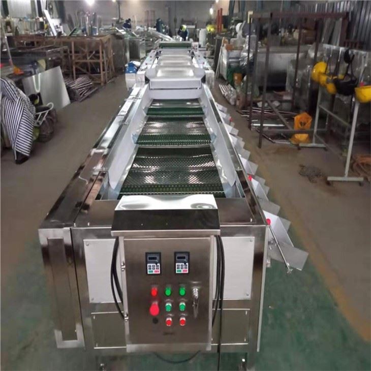 Berry Grading Machine