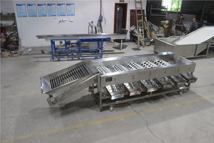 Passion Fruit Grading Machine