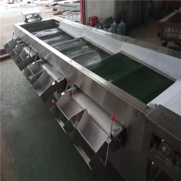 Strawberry Grading Machine