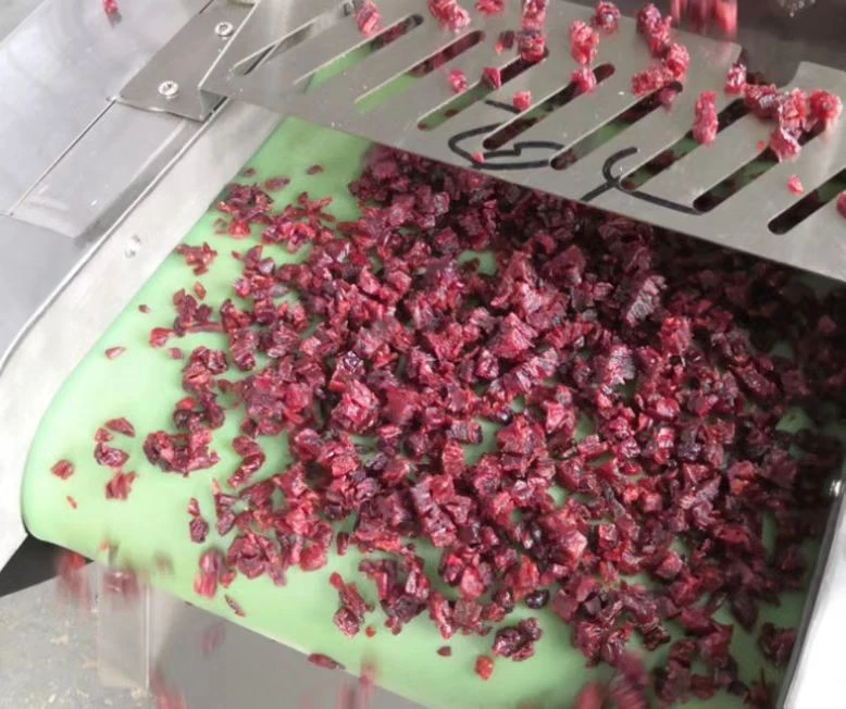 Dried Fruit Dicing Machine best
