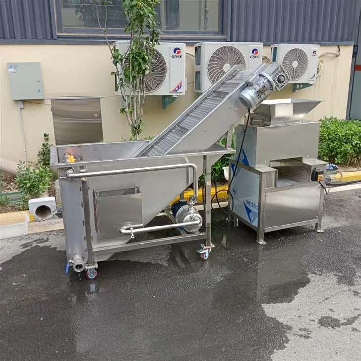 Industrial Citrus Juicer factory