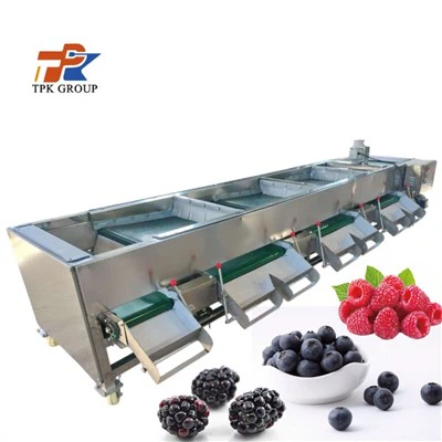 Máquina de classificação de bagas