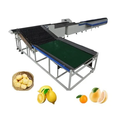 Máquina classificadora de peso de frutas
