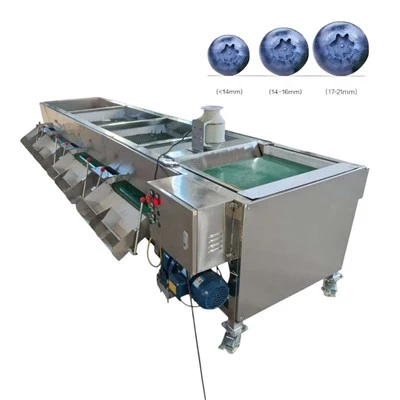 Máquina multifuncional de classificação de frutas vermelhas