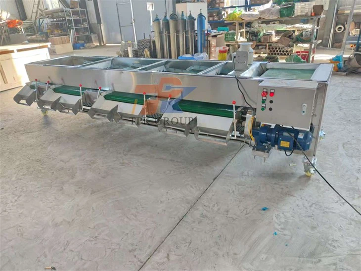 Sorter Grading Blueberry Sorting Machine