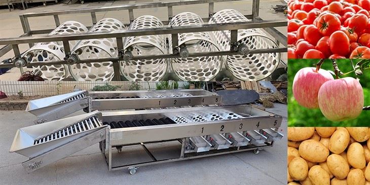 Tomato Fruit Sorting Machine best